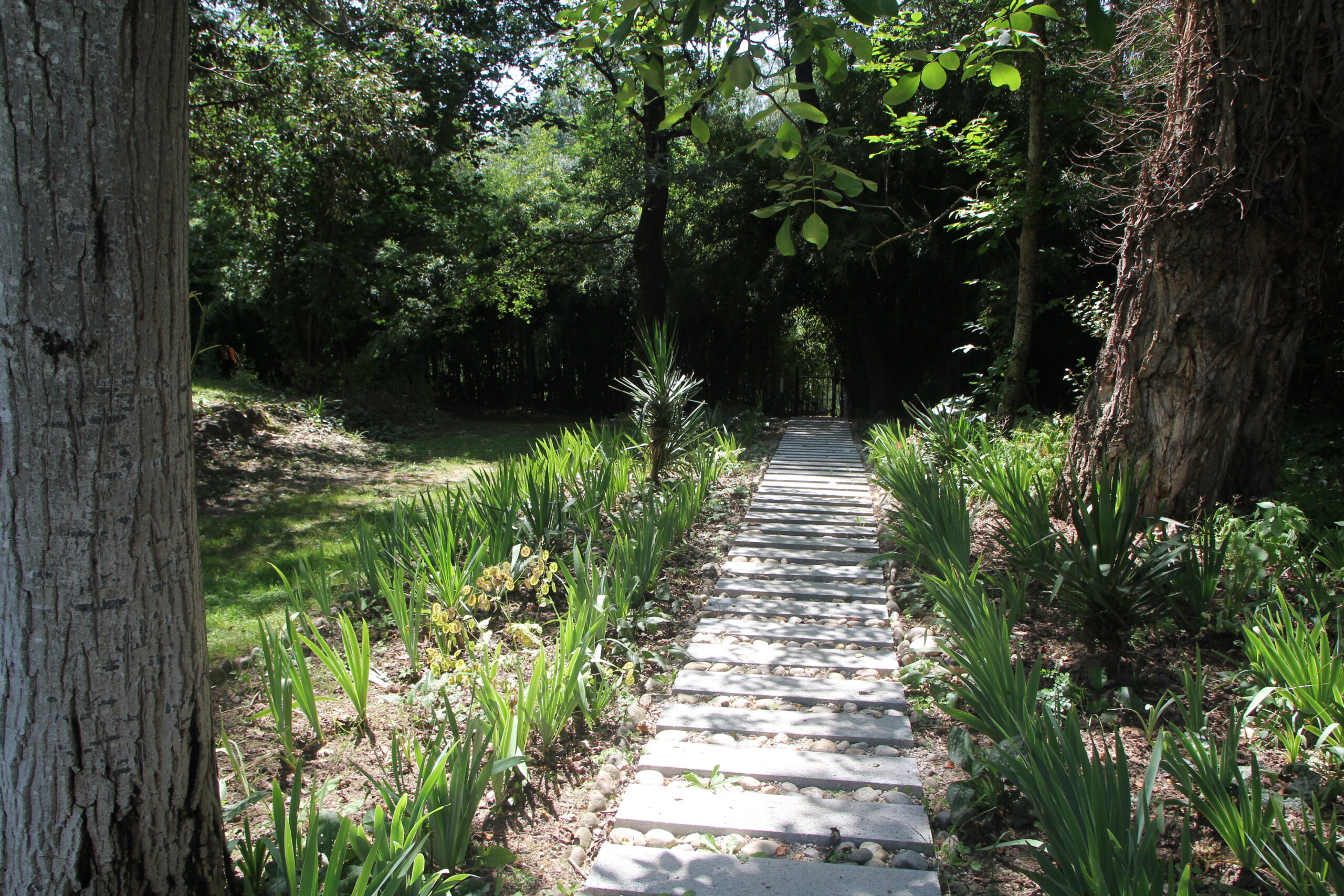Chemin domaine